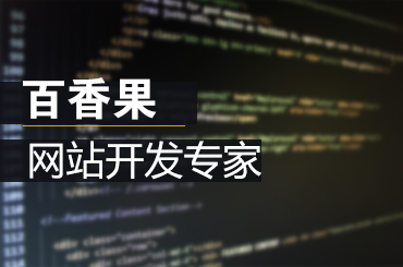 企业网站开发